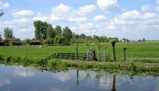 Groene Hart landschap