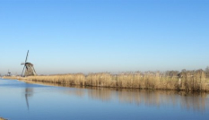 Landschap in het Groene Hart met molen