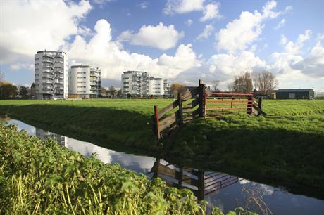 Groene Hart landschap