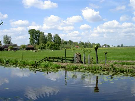 Groene Hart landschap