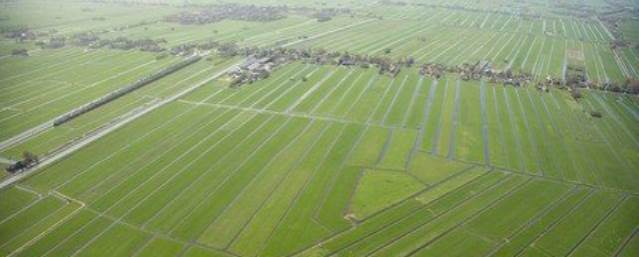 Luchtfoto weidelandschap 