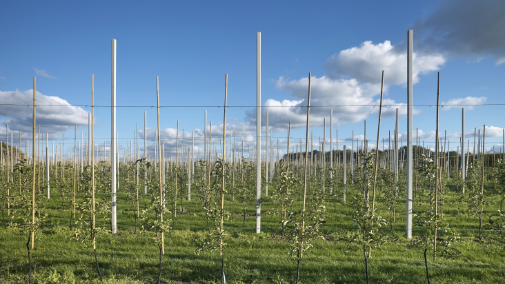 Landbouw