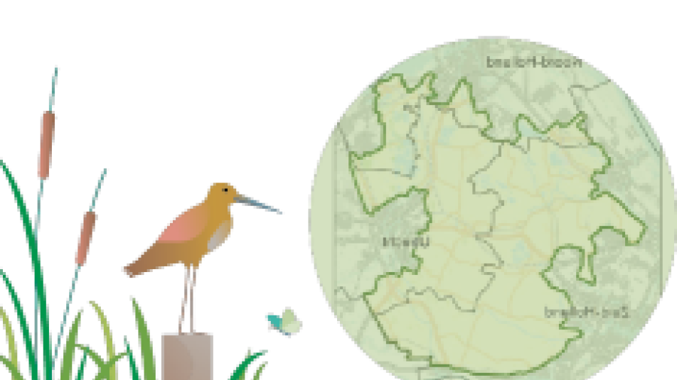 Wereldbol en vogel 50% spiegel