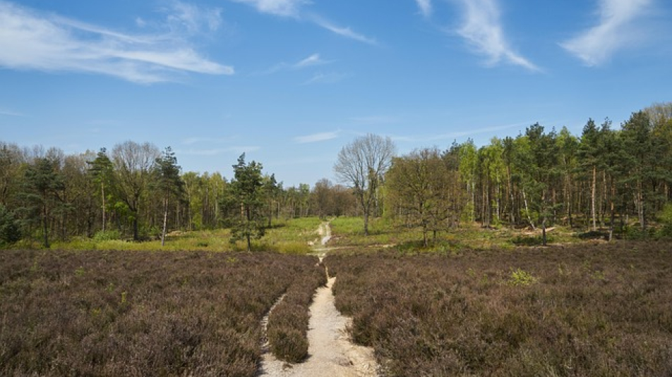 Toekomstbestendige Heuvelrug Gooi en Vechtstreek