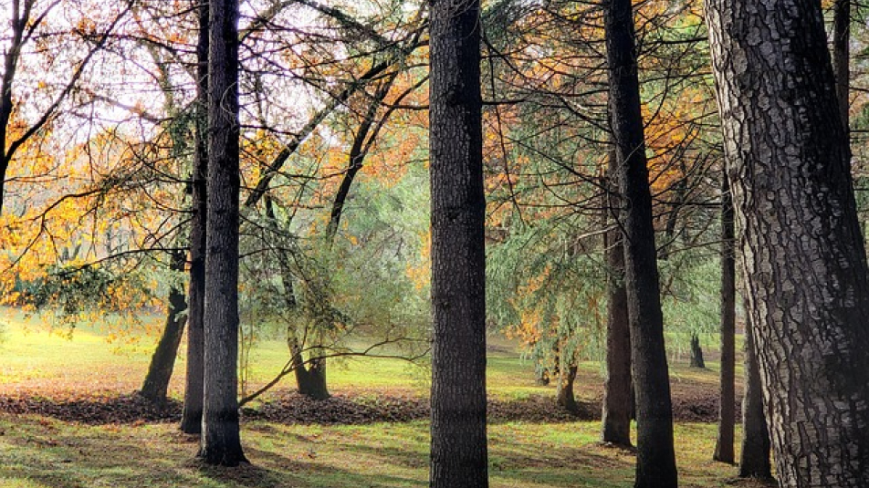 Toekomstbestendige Heuvelrug Gooi en Vechtstreek